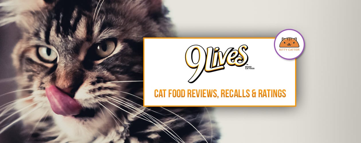 9 lives cat food ingredients